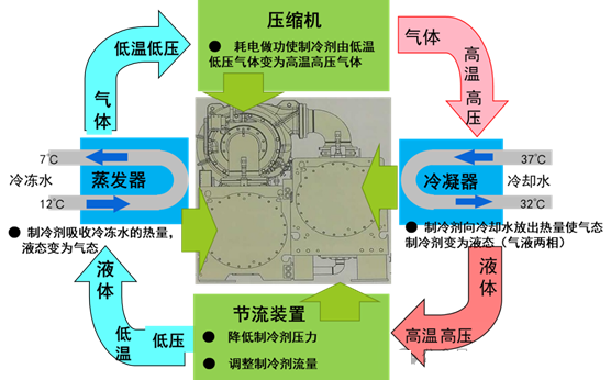 微信图片_20250722175000